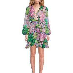 Alex Marie Long Sleeve Floral Laurel Chiffon Wisteria Dress in Green and Pink